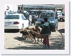AddisAbaba - 05 * Since we were stranded, we paid a driver to take us on a 3 hour tour of Addis Ababa.